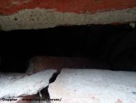 Imagine atasata: Bega - 2014.12.02 - 20.jpg